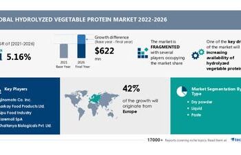 Hydrolyzed Vegetable Protein Market – 2022-2026 | Increasing Availability of Hydrolyzed Vegetable Proteins across e-commerce Platforms to Boost Market Growth