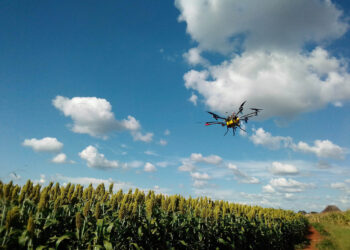 Buzz Farm’s drones to the rescue