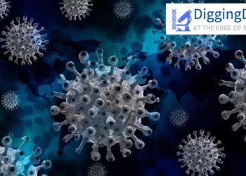 Digging Deep: Climate change could mean increased pathogen transmission