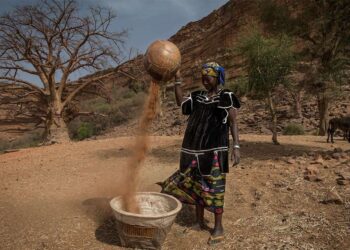 TICAD8 Highlights Value of “Human Security” in Africa | News | SDG Knowledge Hub