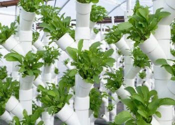 5 ways science, technology and innovation help transform global agrifood systems