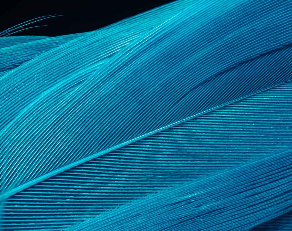 CHIPS and IRA Subsidies Could Spur More Frequent Use of the ITC