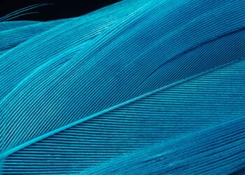 CHIPS and IRA Subsidies Could Spur More Frequent Use of the ITC