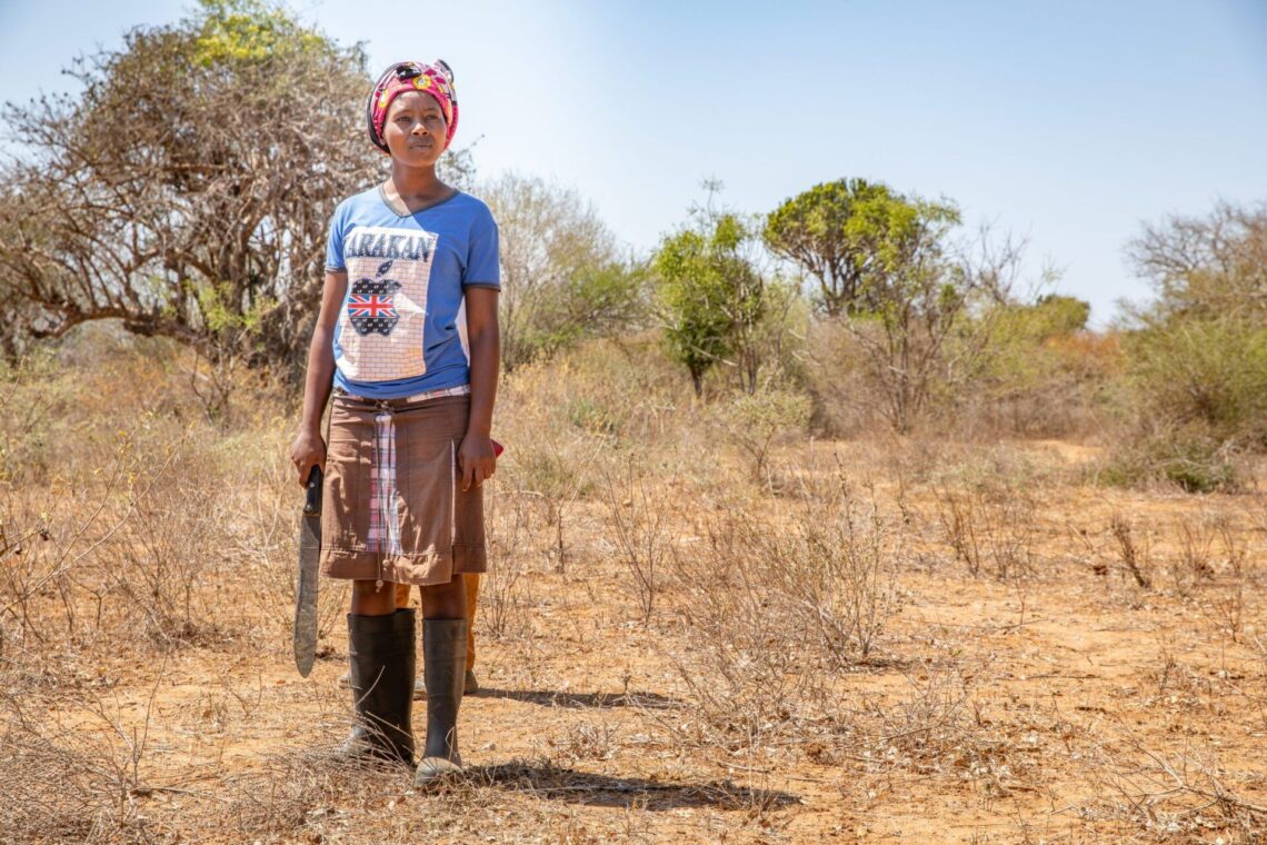 Africa agrifoodtech investment needed as food insecurity worsens