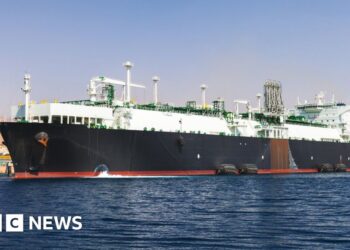 BP pauses all Red Sea shipments after rebel attacks