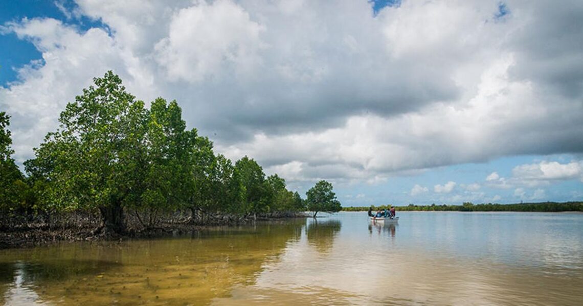 The World Bank gives Tanzania an ultimatum on a $150 million project