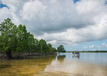 The World Bank gives Tanzania an ultimatum on a $150 million project