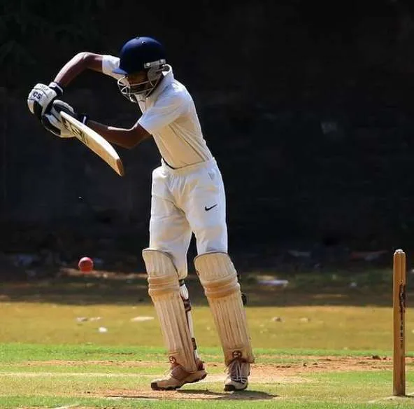 International Cricket Means International Business, Says Caribbean Leader.